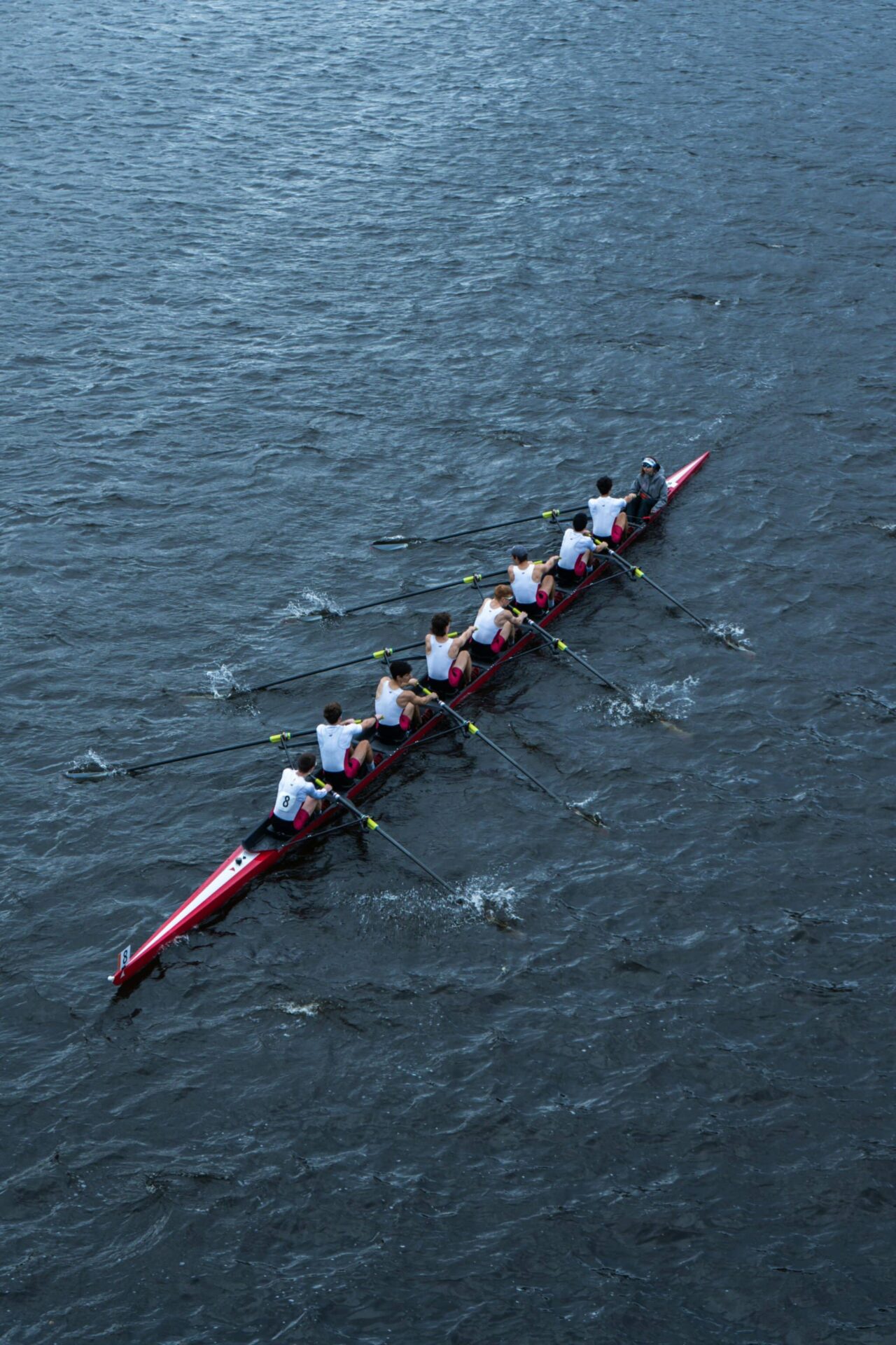 Get Your Oars Ready for the 2024 Boat Race! How, Where And When To ...